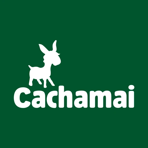 CACHAMAI